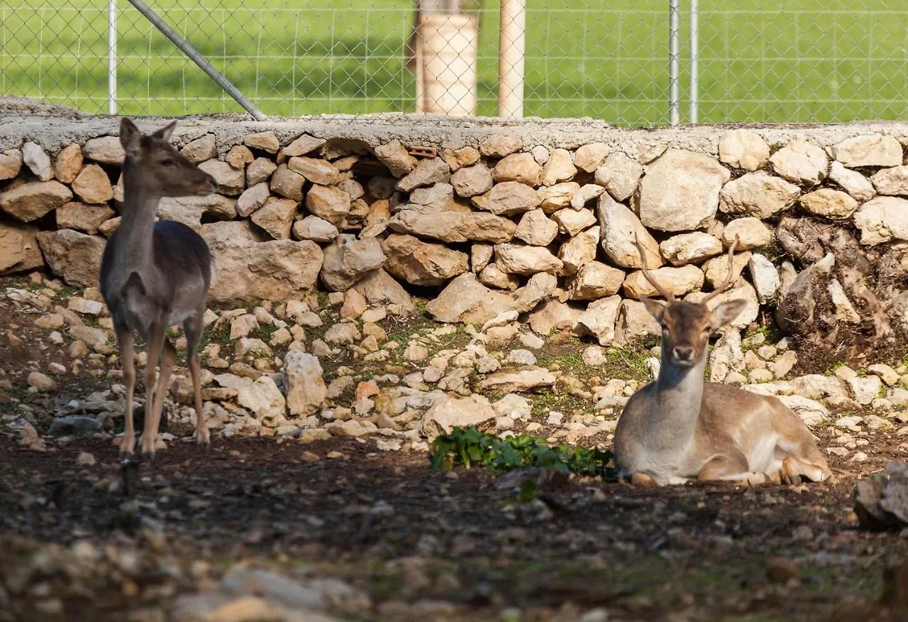 Villa Can Llamas Pollenca Spain