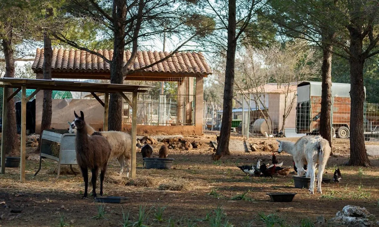 Villa Can Llamas Pollenca Spain
